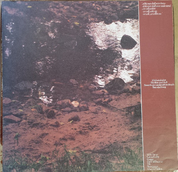 Virgin Prunes : ... If I Die, I Die (LP, Album)
