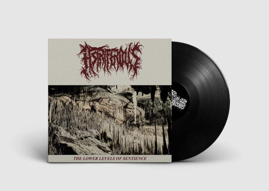 Astriferous : The Lower Levels Of Sentience (12", EP)