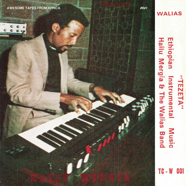 Hailu Mergia & The Walias Band* : Tezeta (LP, Album, RE)