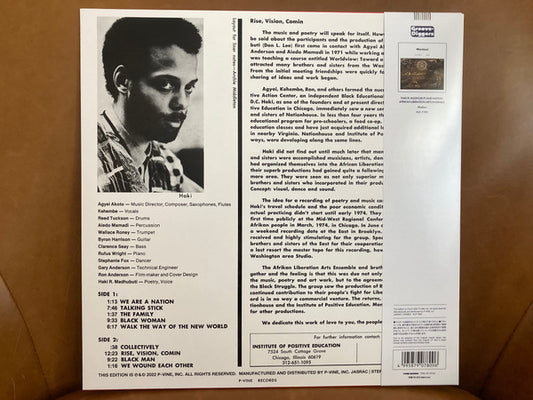 Nation Afrikan Liberation Art Ensemble* Featuring Haki R. Madhubuti (Don L. Lee)* : Rise Vision Comin (LP, Album)