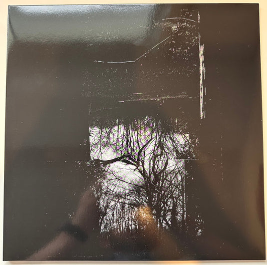 Reverence To Paroxysm : Lux Morte (LP, Album)