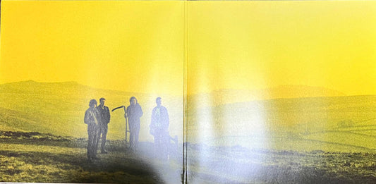 Arctic Monkeys : Suck It And See (LP, Album, RE, Gat)