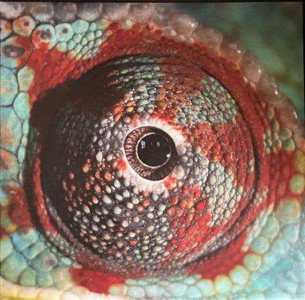 Cassandra Jenkins (2) : My Light, My Destroyer (LP, Album)