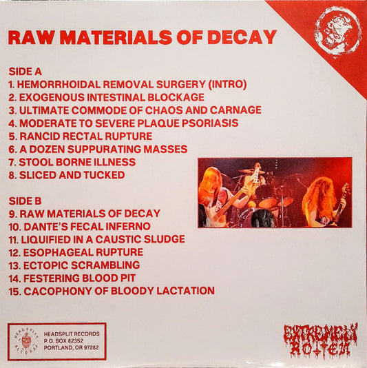Hemorrhoid (2) : Raw Materials Of Decay (LP, Album, Ltd)