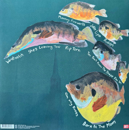 MJ Lenderman : Manning Fireworks (LP, Album)