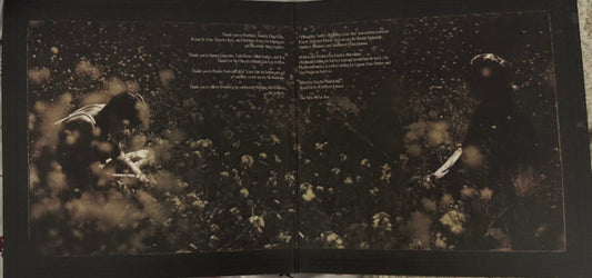 Ethel Cain : Willoughby Tucker, I'll Always Love You (2xLP, Album, Ltd)