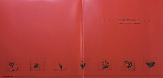 Raye (3) : This Music May Contain Hope. (2xLP, Album, Yel)