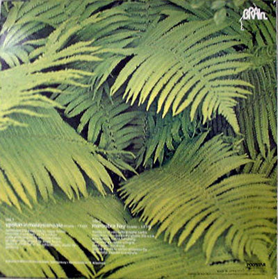 Edgar Froese : Ypsilon In Malaysian Pale (LP, Album)