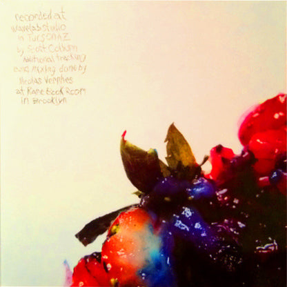 Animal Collective : Strawberry Jam (2xLP, Album, Ltd)