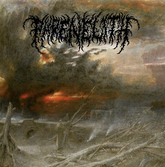 Phrenelith : Desolate Endscape (LP, Album, RE)