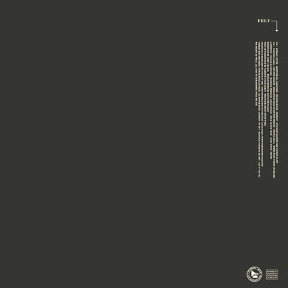 Felt : The Strange Idols Pattern And Other Short Stories (LP, Album, RE, RM)