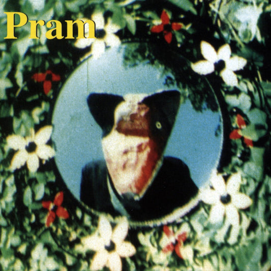 Pram : Telemetric Melodies (LP, Comp)