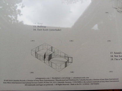 Solange (2) : When I Get Home (LP, Album, Cle)