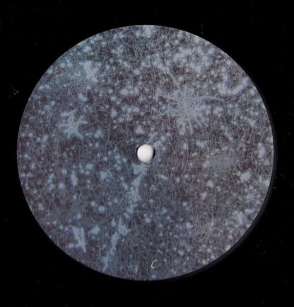 OOIOO : Nijimusi (2xLP, Album)