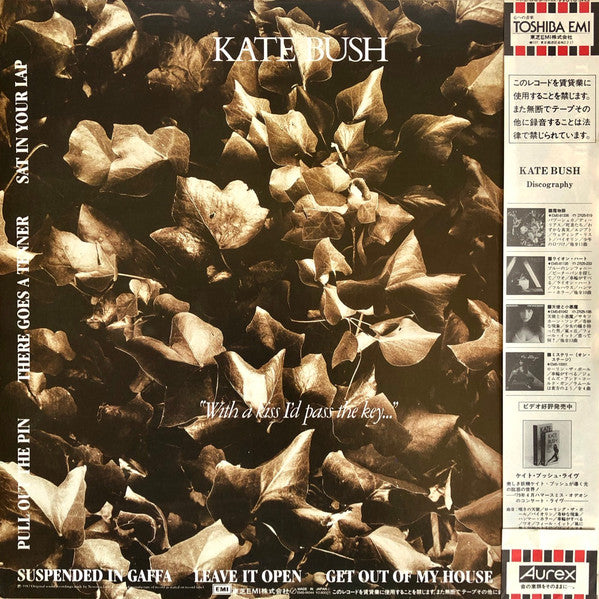 Kate Bush : The Dreaming (LP, Album)