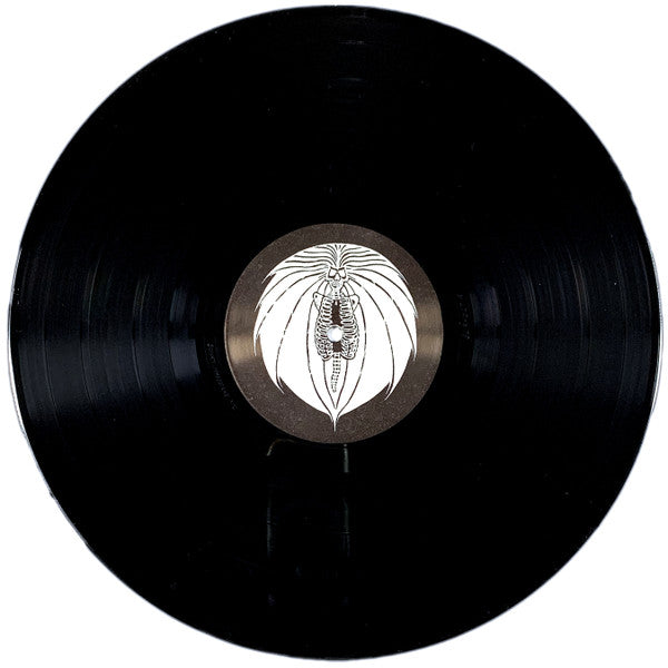 Grave New World : The Last Sanctuary (LP, RE, RM)