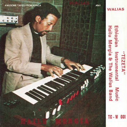Hailu Mergia & The Walias Band* : Tezeta (LP, Album, RE)