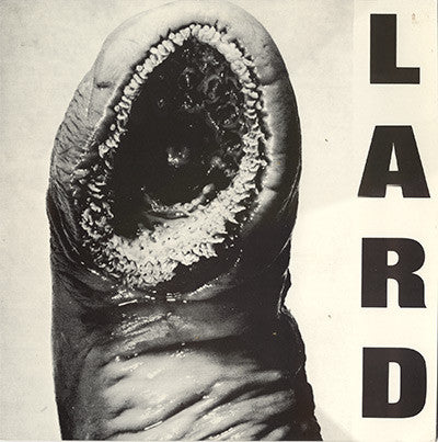 Lard : The Power Of Lard EP (12", EP)