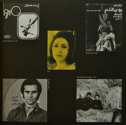 Various : Pomegranates - Persian Pop, Funk, Folk And Psych Of The 60s And 70s (2xLP, Comp)