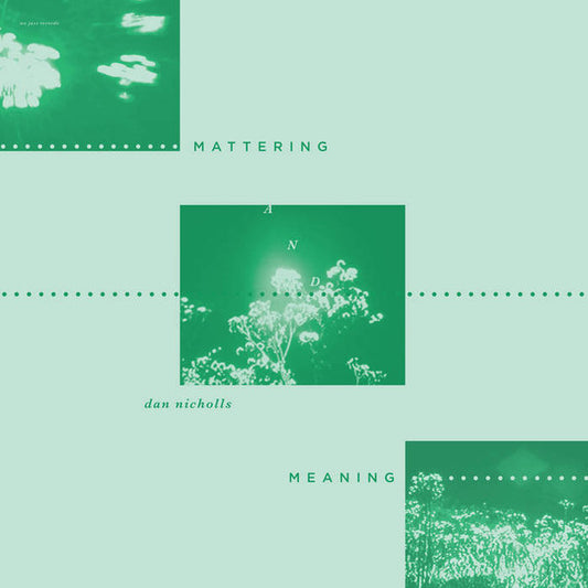 Dan Nicholls : Mattering And Meaning (LP)