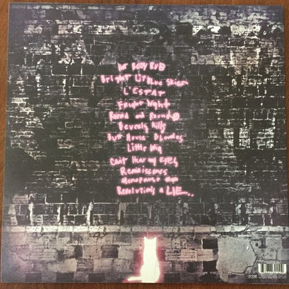 Ariel Pink's Haunted Graffiti : Before Today (LP, Album)