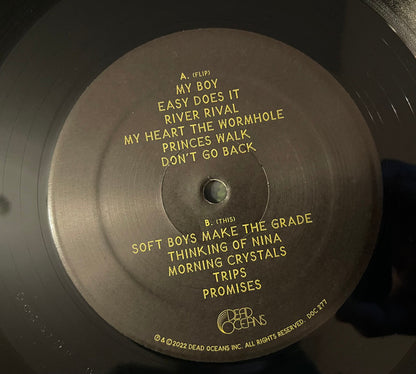 Marlon Williams (6) : My Boy (LP, Album)