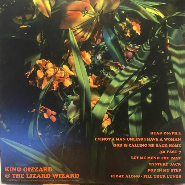 King Gizzard & The Lizard Wizard* : Float Along - Fill Your Lungs (LP, Album, RE, Blu)