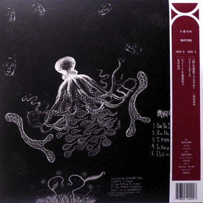 Kikagaku Moyo = 幾何学模様* : Kikagaku Moyo = 二重の虹 (LP, Album, RE)