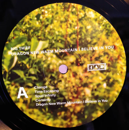 Big Thief : Dragon New Warm Mountain I Believe In You (2xLP, Album, RE, Opt)