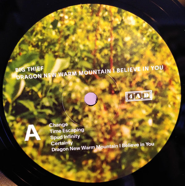 Big Thief : Dragon New Warm Mountain I Believe In You (2xLP, Album, RE, Opt)