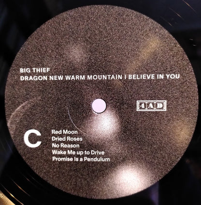 Big Thief : Dragon New Warm Mountain I Believe In You (2xLP, Album, RE, Opt)