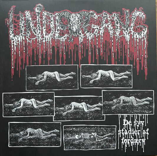 Undergang (2) : De Syv Stadier Af Ford​æ​rv (12", EP, M/Print)