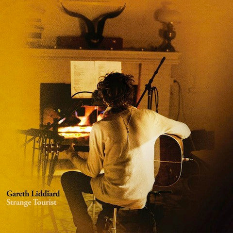 Gareth Liddiard : Strange Tourist (2xLP, Album)