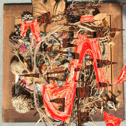 Merzbow : Tsubute Mosaic (LP)