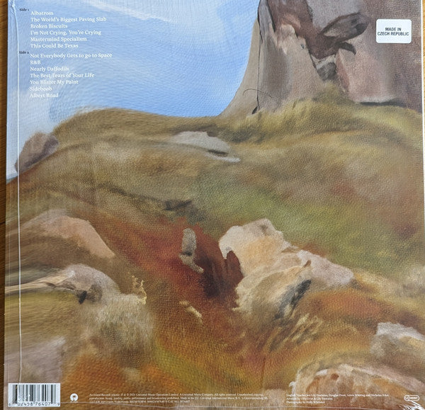 English Teacher : This Could Be Texas (LP, Album)