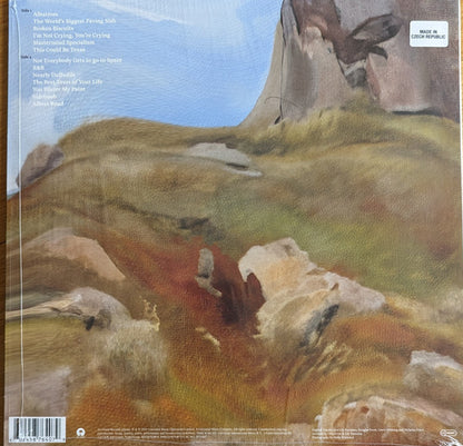 English Teacher : This Could Be Texas (LP, Album)