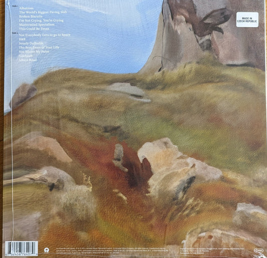 English Teacher : This Could Be Texas (LP, Album)