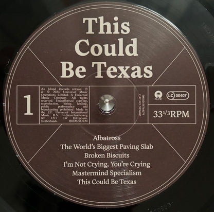 English Teacher : This Could Be Texas (LP, Album)