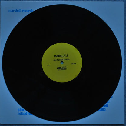 Jimi Marshall Hendrix* : Ladyland In Flames (2xLP, Unofficial)