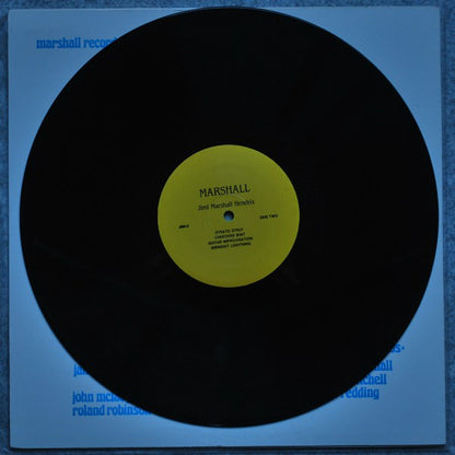 Jimi Marshall Hendrix* : Ladyland In Flames (2xLP, Unofficial)