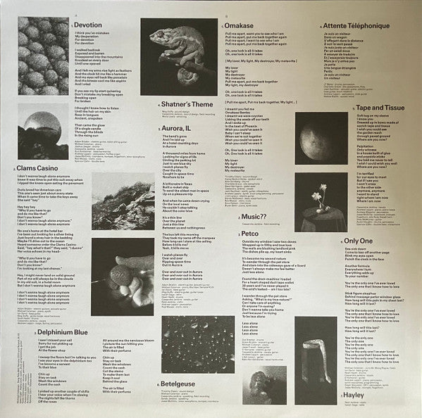 Cassandra Jenkins (2) : My Light, My Destroyer (LP, Album)