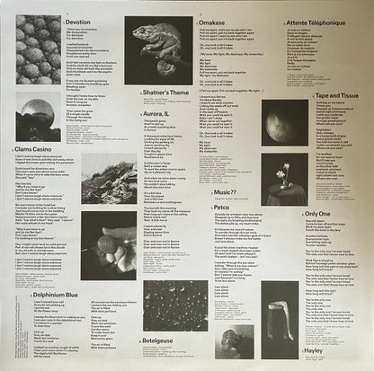 Cassandra Jenkins (2) : My Light, My Destroyer (LP, Album)