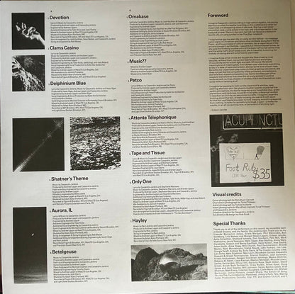Cassandra Jenkins (2) : My Light, My Destroyer (LP, Album)
