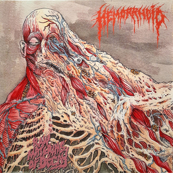 Hemorrhoid (2) : Raw Materials Of Decay (LP, Album, Ltd)
