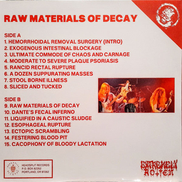 Hemorrhoid (2) : Raw Materials Of Decay (LP, Album, Ltd)