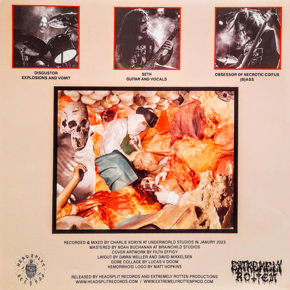 Hemorrhoid (2) : Raw Materials Of Decay (LP, Album, Ltd)