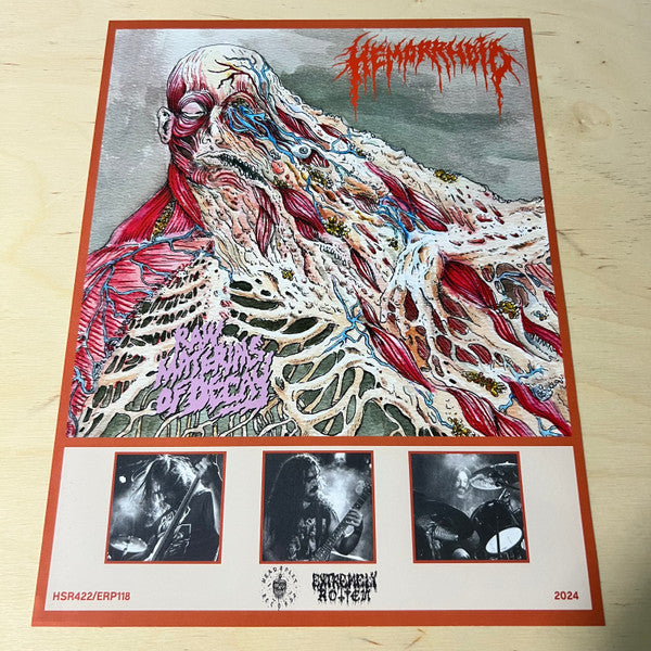 Hemorrhoid (2) : Raw Materials Of Decay (LP, Album, Ltd)