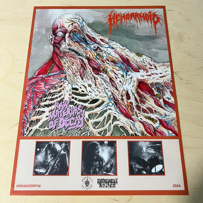 Hemorrhoid (2) : Raw Materials Of Decay (LP, Album, Ltd)