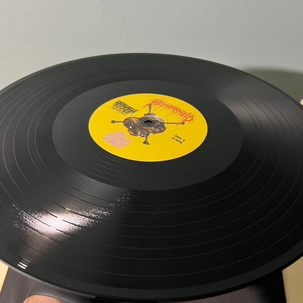 Hemorrhoid (2) : Raw Materials Of Decay (LP, Album, Ltd)