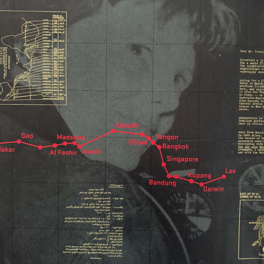 Laurie Anderson : Amelia (LP)